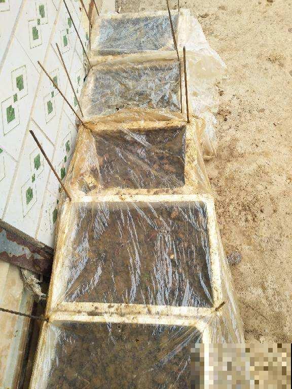 泡沫箱有大用，爱养花的人要留好它，扔掉就是扔钱！