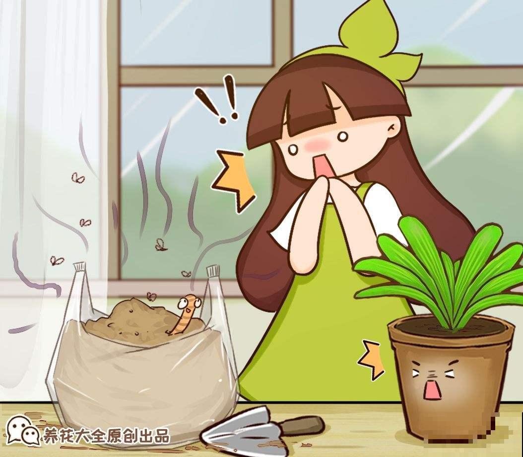 养花常见的3种虫害，只要做到对虫下药，保证药到虫灭！