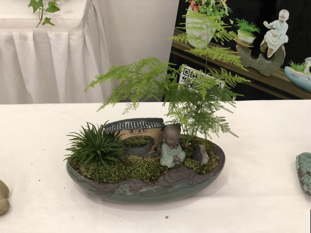 想要打造自己的盆景？简单几步，教你在家做出越看越美的盆景！