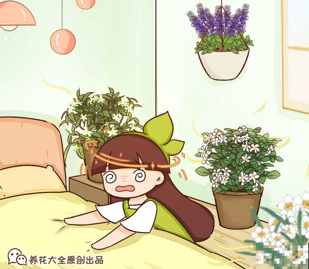 “失眠克星”？卧室里养这几种植物，再也不都用担心失眠了！
