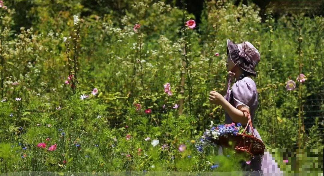 3年的时间，老院子变成大花园，过上塔莎奶奶一样的日子！