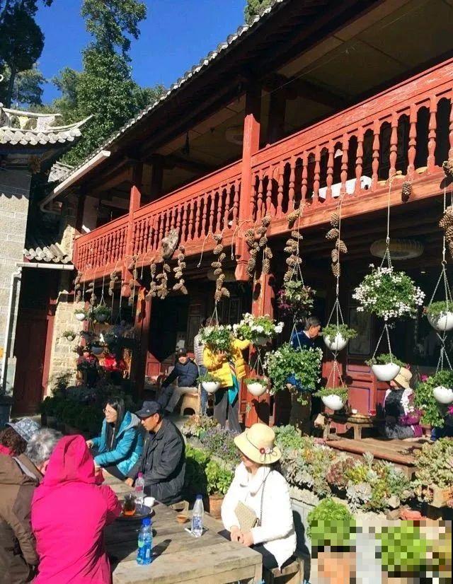 山上的尼姑庵,只养花不烧香,看完想出家 山上的尼姑庵,只养花不烧香,看完想出家