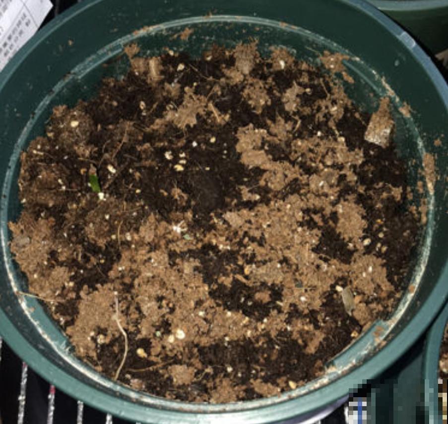 淘汰下的旧土先别扔，放锅里炒一炒，效果还很好！