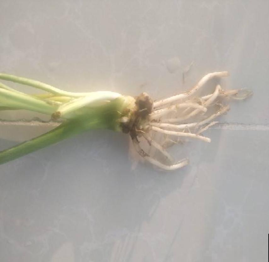 那些被你浪费的“珍宝”,快去捡回来,否则错过“一个亿” 那些被你浪费的“珍宝”,快去捡回来,否则错过“一个亿”