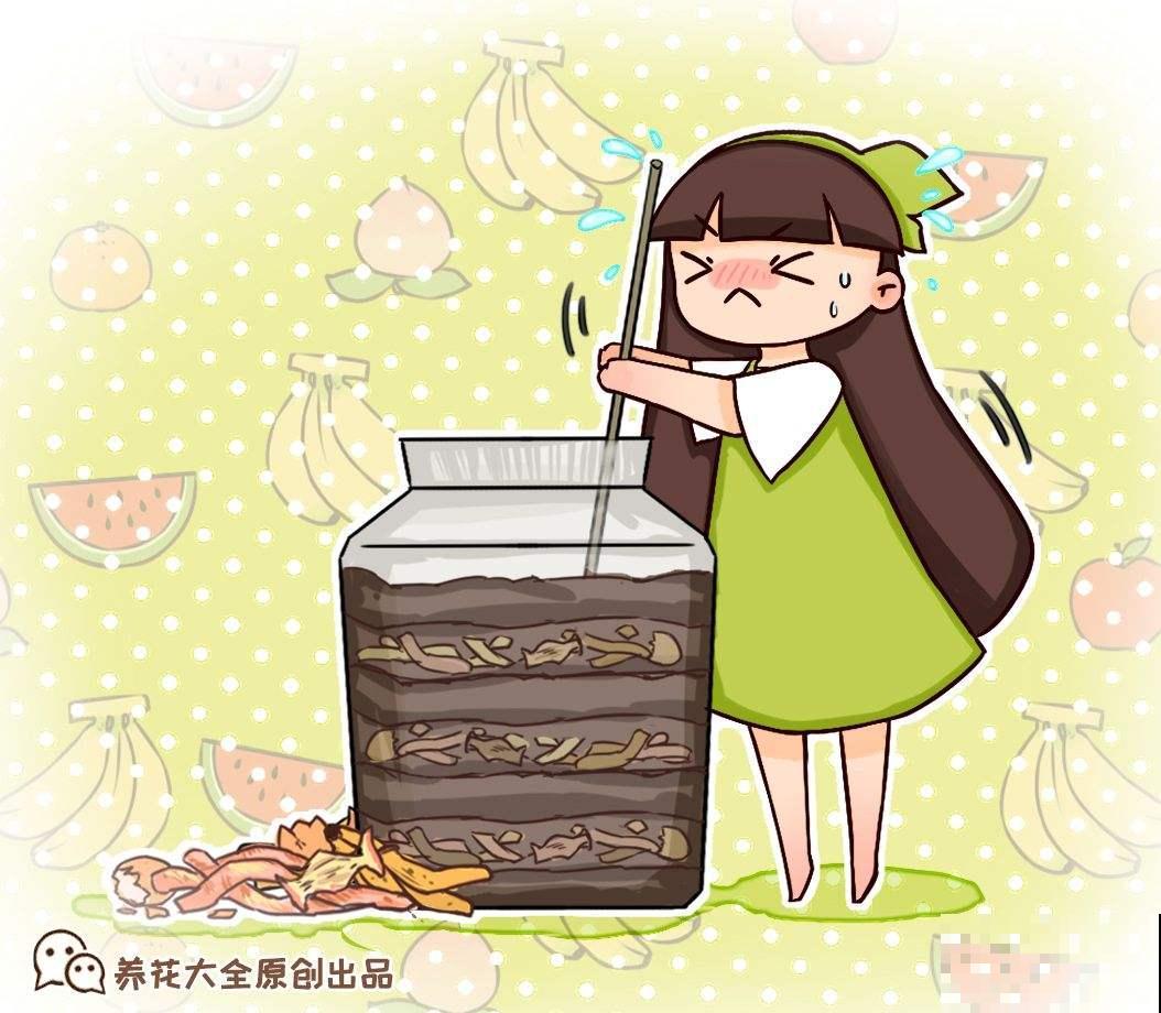 养花不用买肥料，在家自制氮肥，叶片油绿长得快！