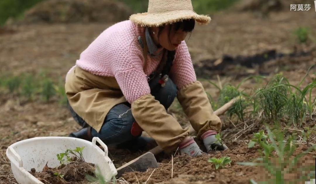 3年的时间，老院子变成大花园，过上塔莎奶奶一样的日子！