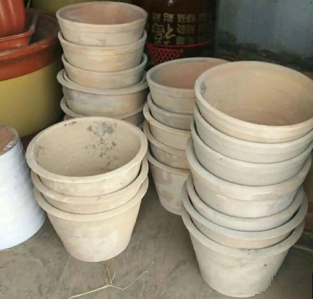 选不对花盆，啥花都被你养死了！