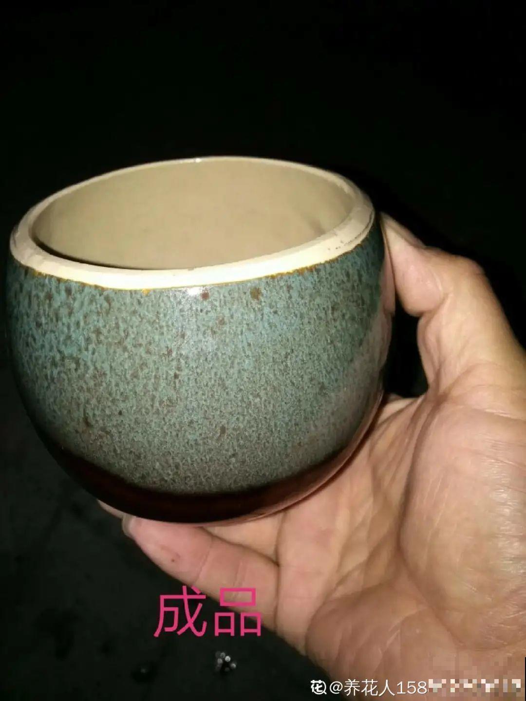 过年的酒瓶子，千万别人，切2刀做花盆，好看又省钱