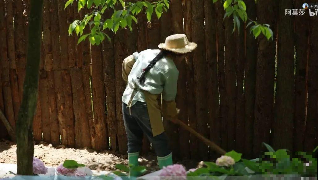 3年的时间，老院子变成大花园，过上塔莎奶奶一样的日子！