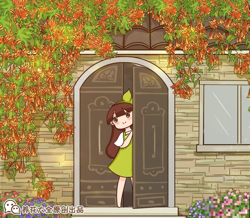 院子里养了一株凌霄花，邻居却不高兴了，非要我们剪掉！