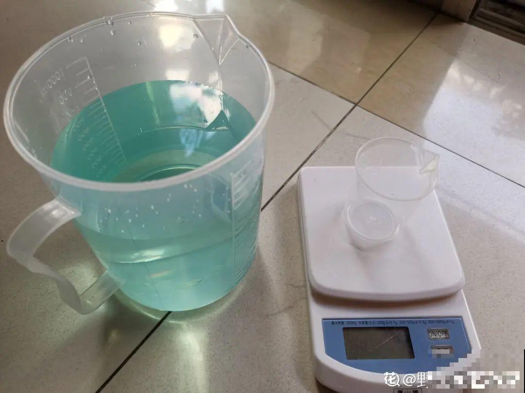 月季12个月计划表，按照这个养，大花墙不是梦！