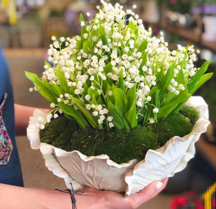 这几种花脾气差，动不动就“打架”，最后两败俱伤成笑话！