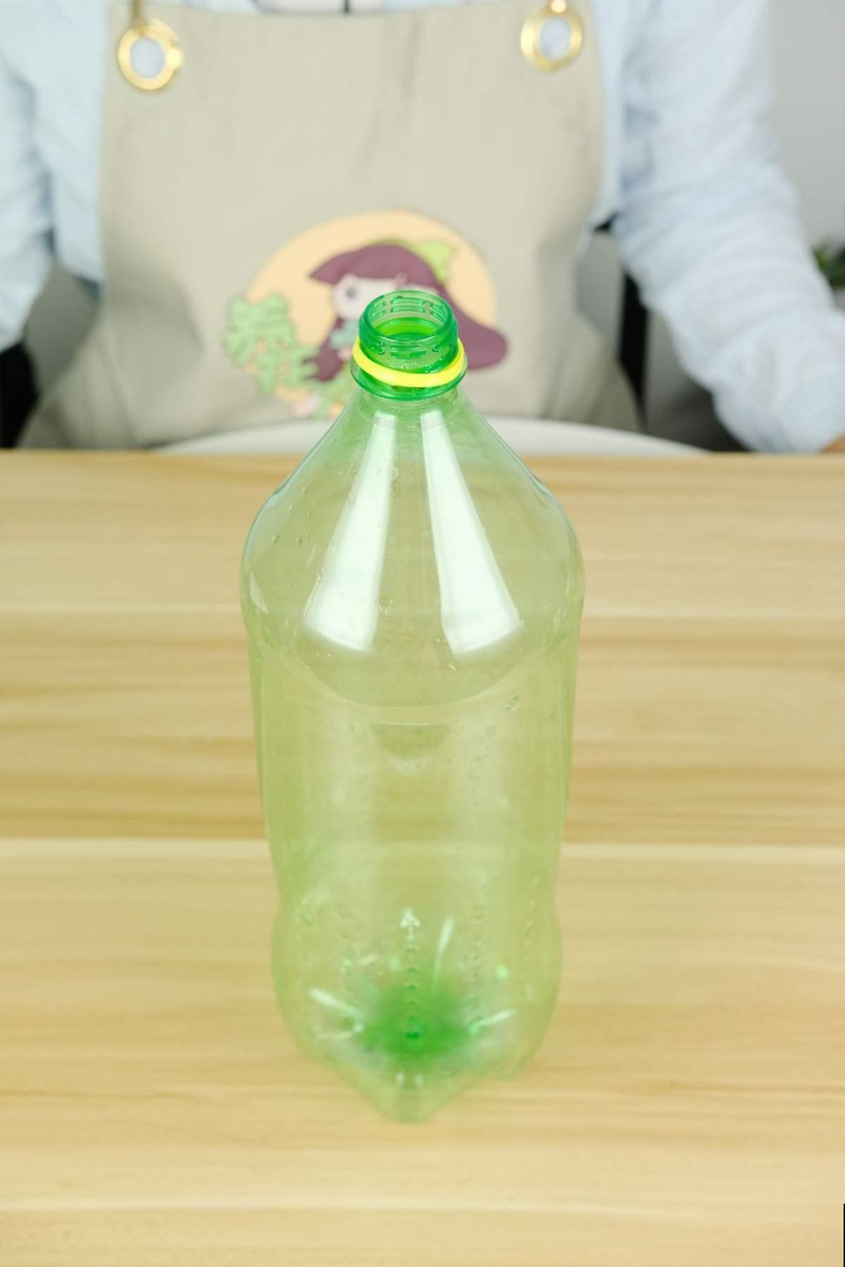 扦插有绝招！一学就会，家里再也不用买花了！