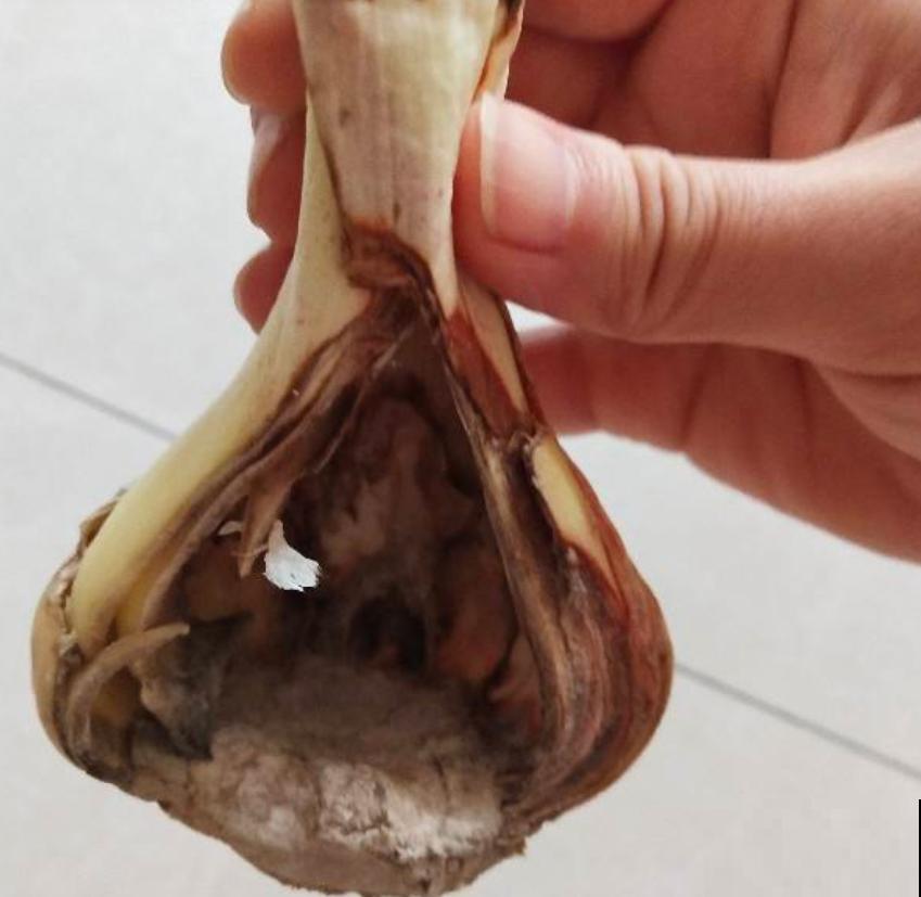 那些被你浪费的“珍宝”,快去捡回来,否则错过“一个亿” 那些被你浪费的“珍宝”,快去捡回来,否则错过“一个亿”