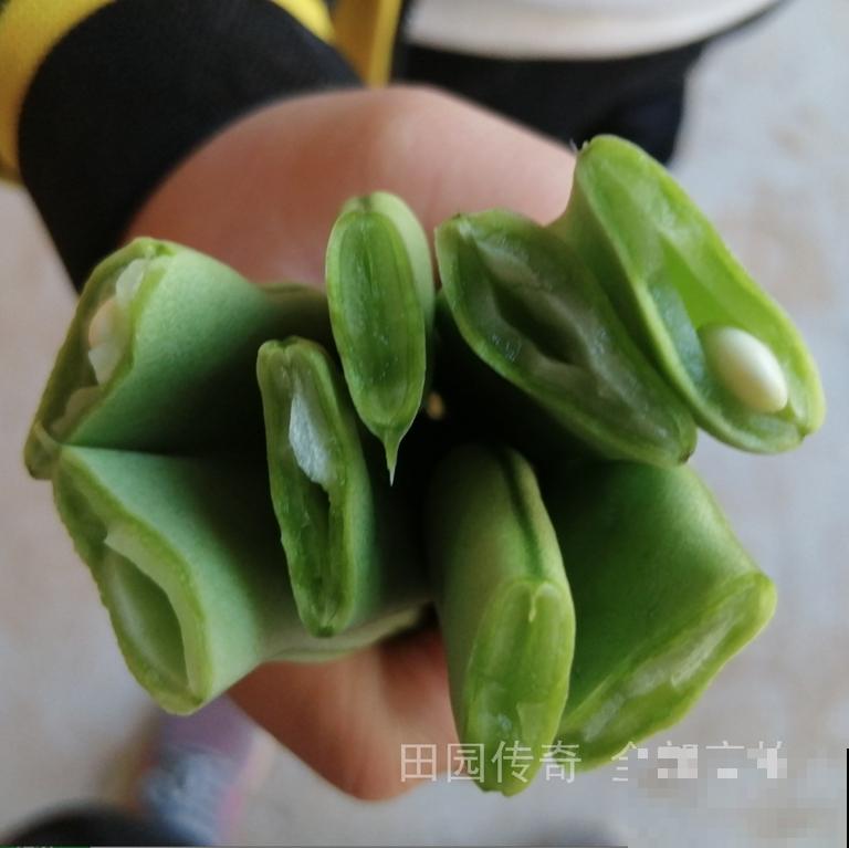 需要焯水的蔬菜，焯一下口感更好，脆嫩好吃颜色漂亮