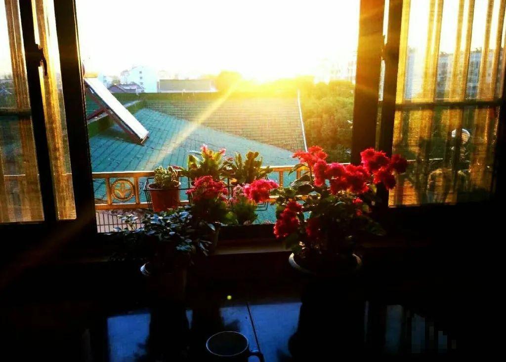 还有一个月过年！腊月的习俗，你知道几个？