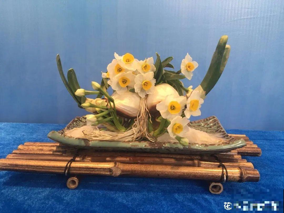 牙签串大蒜，冒充七彩水仙？千万别上当！