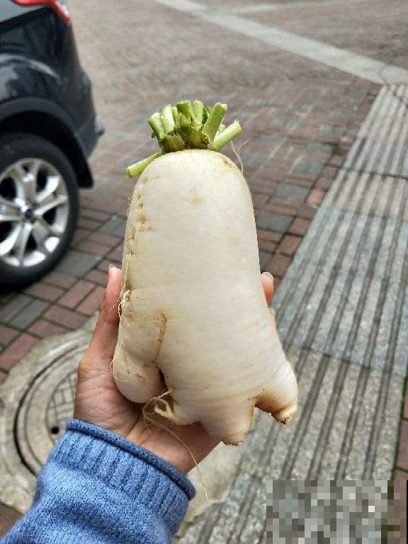 冬天买萝卜，看见这三种，再便宜也别买