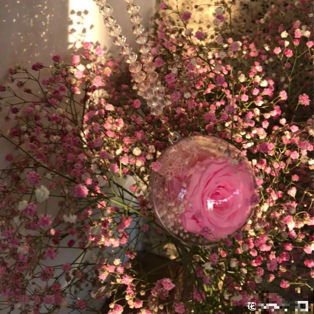 干花制作方法，学会了超实用，留住花儿美好