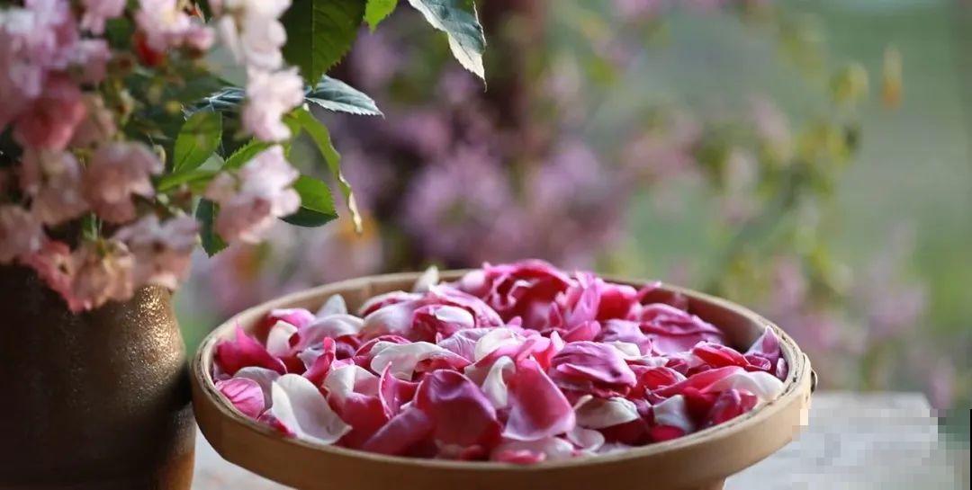 3年的时间，老院子变成大花园，过上塔莎奶奶一样的日子！