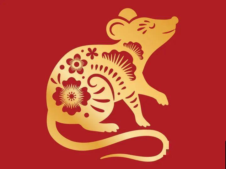 2021，十二生肖的运势，养什么花最旺？