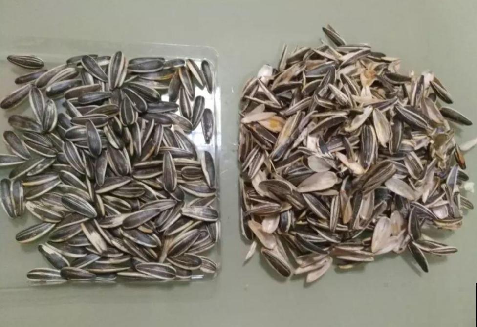 家庭养花怕烂根?这4种东西垫盆底,再也不用担心了! 家庭养花怕烂根?这4种东西垫盆底,再也不用担心了!