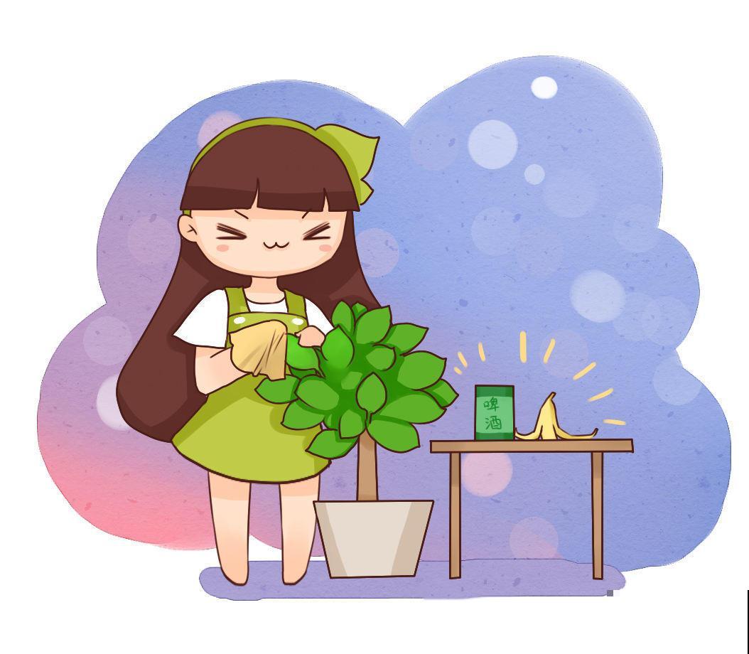 这4种植物是“酒鬼”，经常“喝”点，叶更绿花更美！