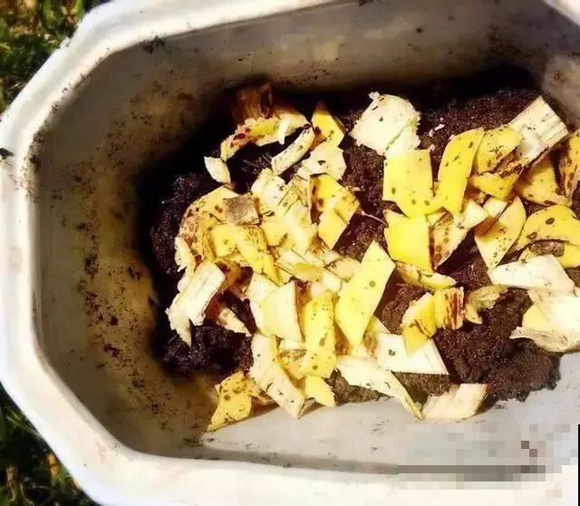 3种方法,碱性土轻松变酸性,植物越长越旺盛! 3种方法,碱性土轻松变酸性,植物越长越旺盛!