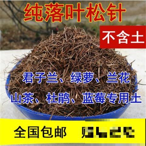 花养不好？3种方法教你配出“万能”养花土，养什么都疯长！