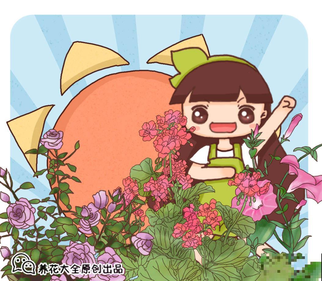 养花的人为什么越来越多，原来有这么多好处，你知道几个？