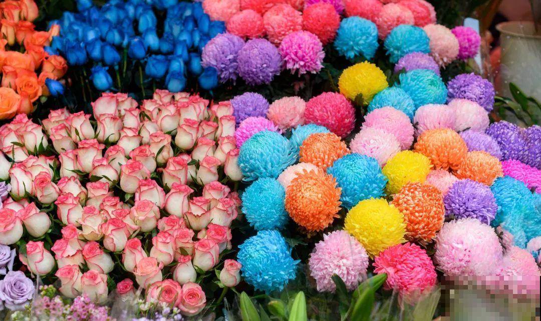 染色大葱？卫生纸一擦就掉色，真细思极恐