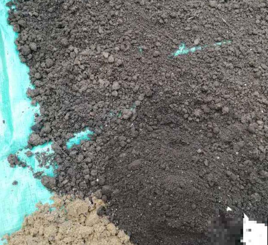 氮磷钾肥不用买，找点“垃圾”就能做，省下钱去吃大餐！