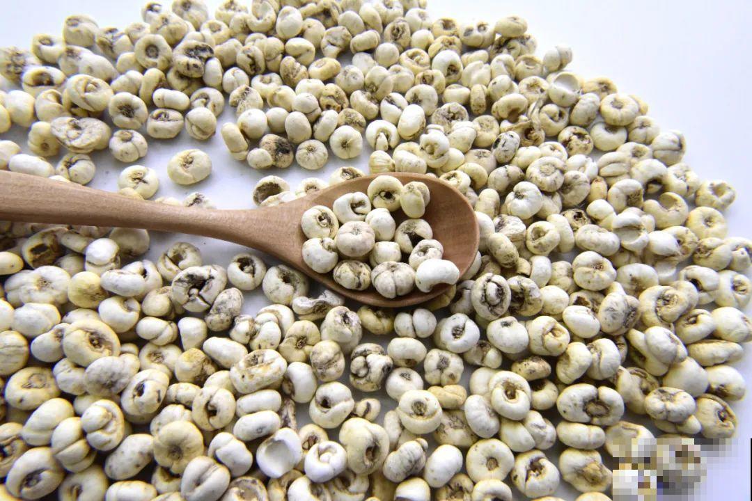 花市10块钱买的花，开花之后身价倍增，真赚了！