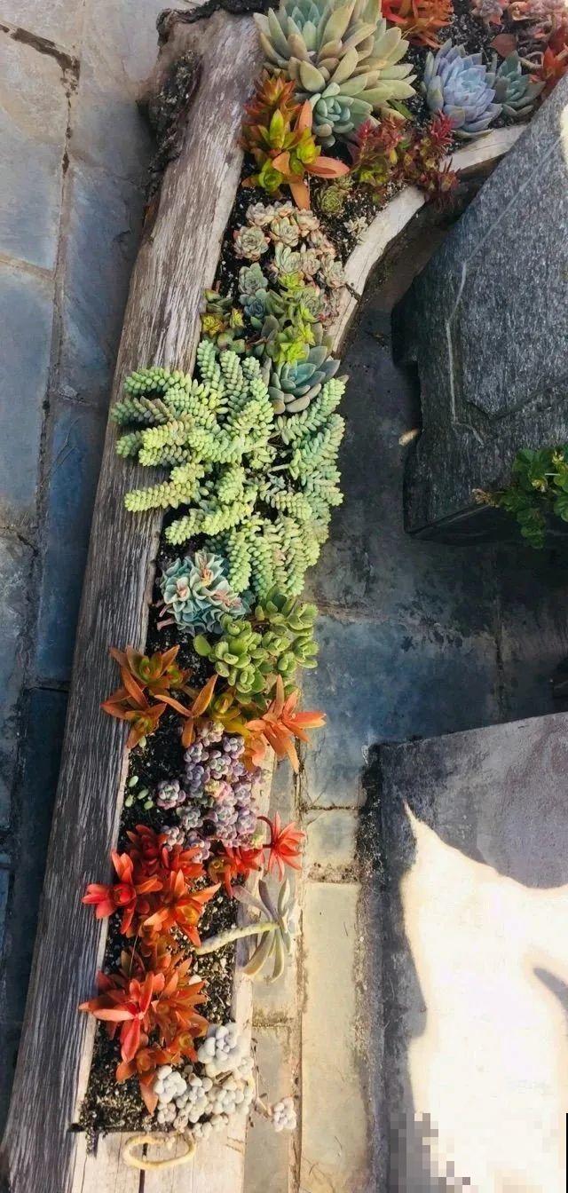 山上的尼姑庵,只养花不烧香,看完想出家 山上的尼姑庵,只养花不烧香,看完想出家