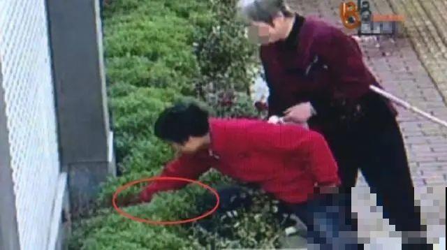 法院门口的花，全都被偷光，小偷的回答令人哭笑不得