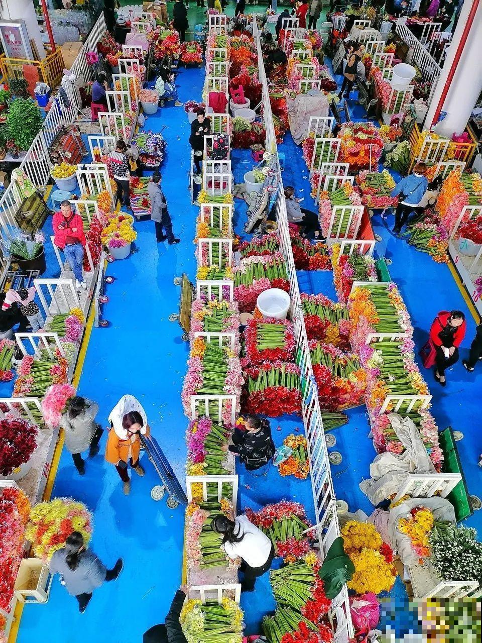 中国最大的6个花市，去过一个就爱上，大开眼界！