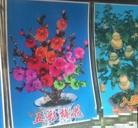 花骗子跑家里来,被戳穿后,没想到赖着不走了! 花骗子跑家里来,被戳穿后,没想到赖着不走了!