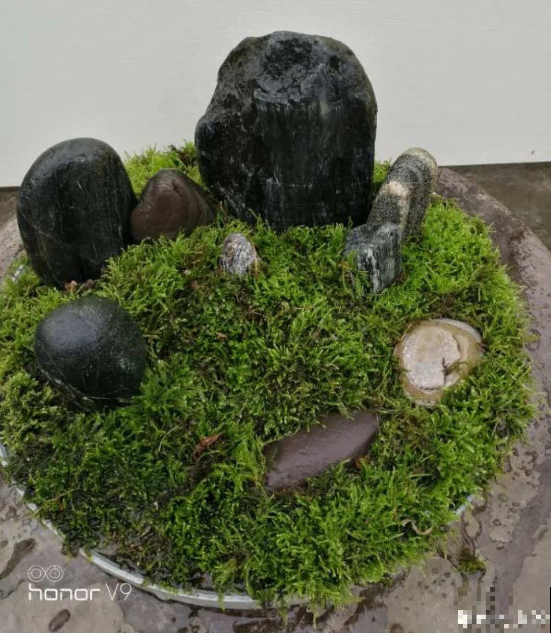 路边别人丢的大花盆，看着眼馋，好想捡回家