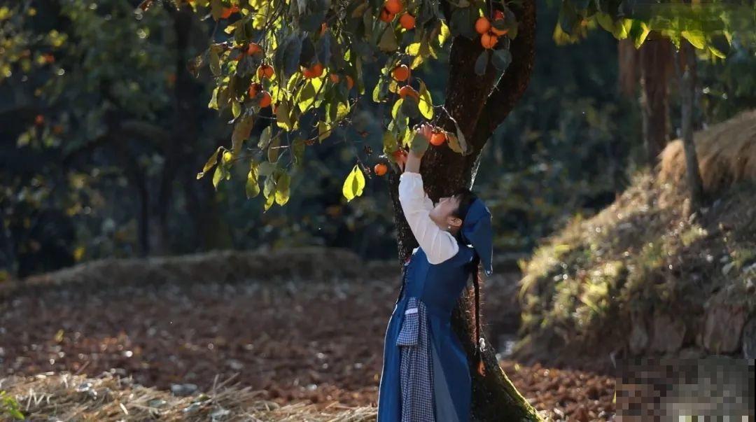 3年的时间，老院子变成大花园，过上塔莎奶奶一样的日子！