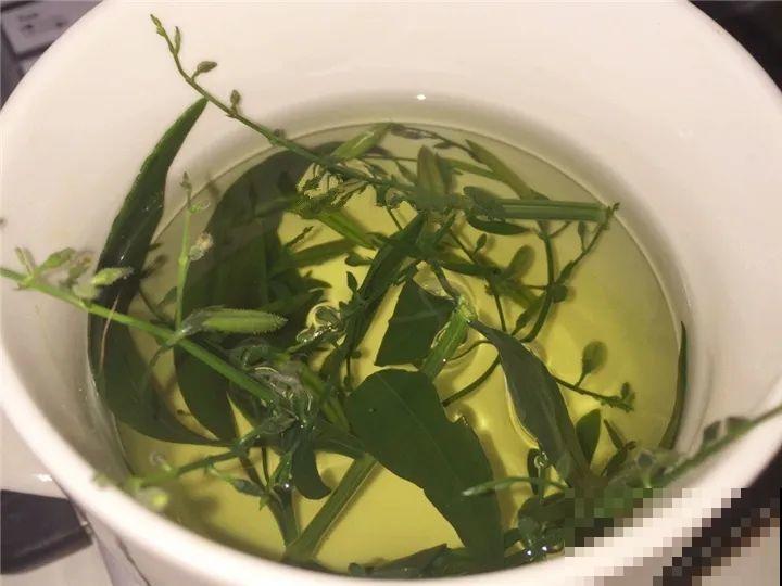 8种草是下火草药，农村最多，城市少见