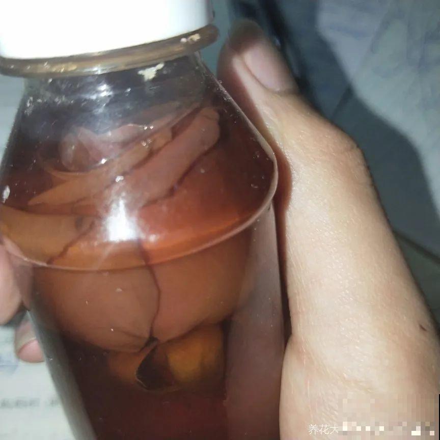 干花制作方法，学会了超实用，留住花儿美好