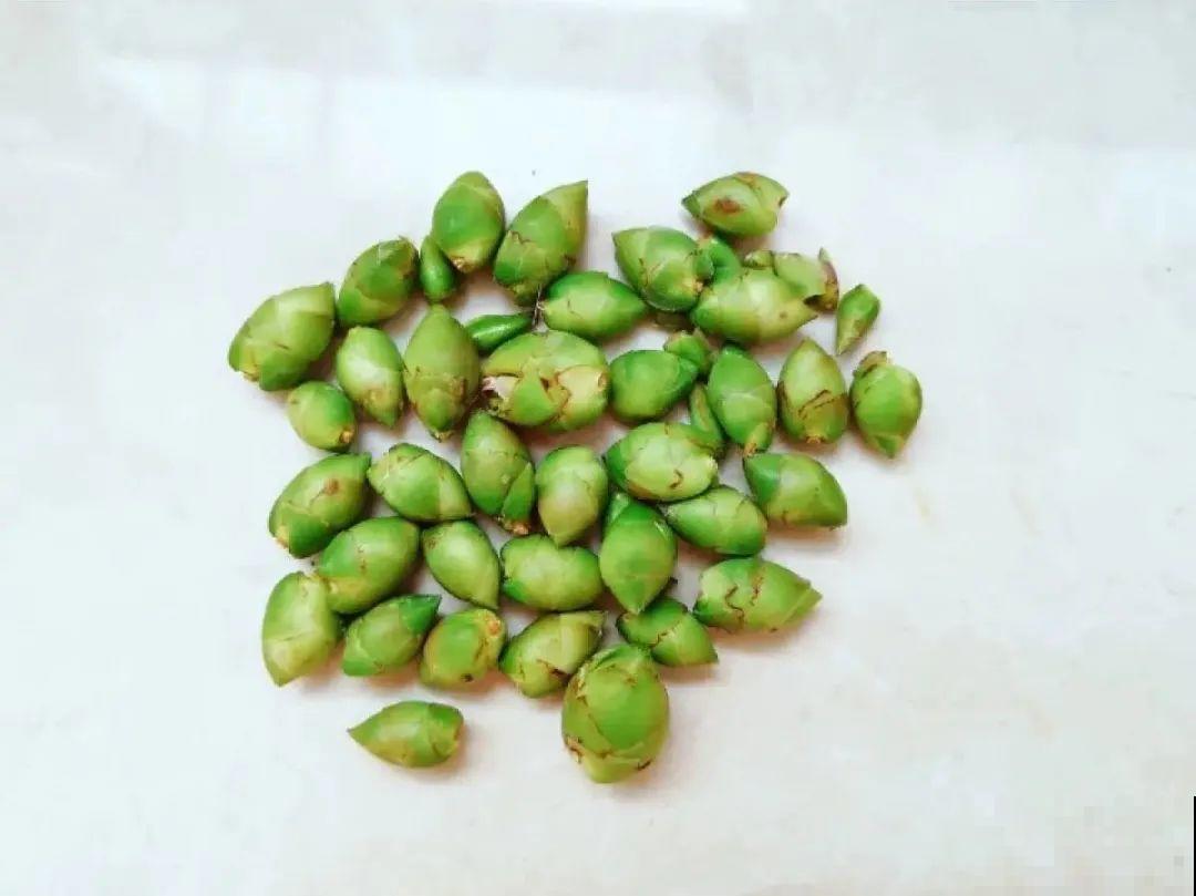 管住手！这几样事少做，花才能安稳过冬！