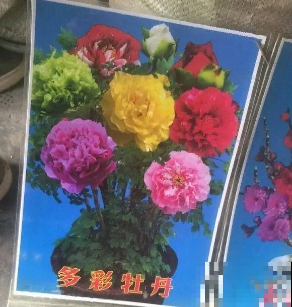 花骗子跑家里来，被戳穿后，没想到赖着不走了！