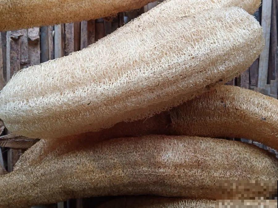 10个养花偏方,一般人我不告诉他,养花太好用 10个养花偏方,一般人我不告诉他,养花太好用