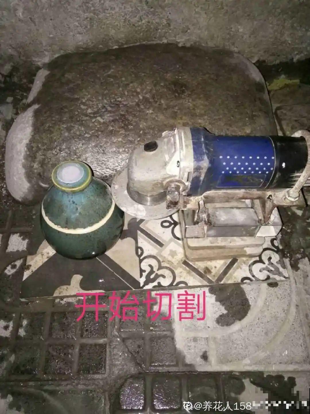 过年的酒瓶子，千万别人，切2刀做花盆，好看又省钱