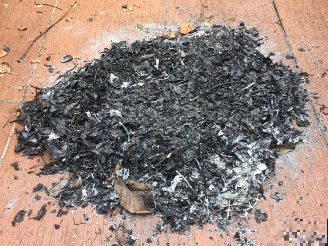 10个养花偏方,一般人我不告诉他,养花太好用 10个养花偏方,一般人我不告诉他,养花太好用