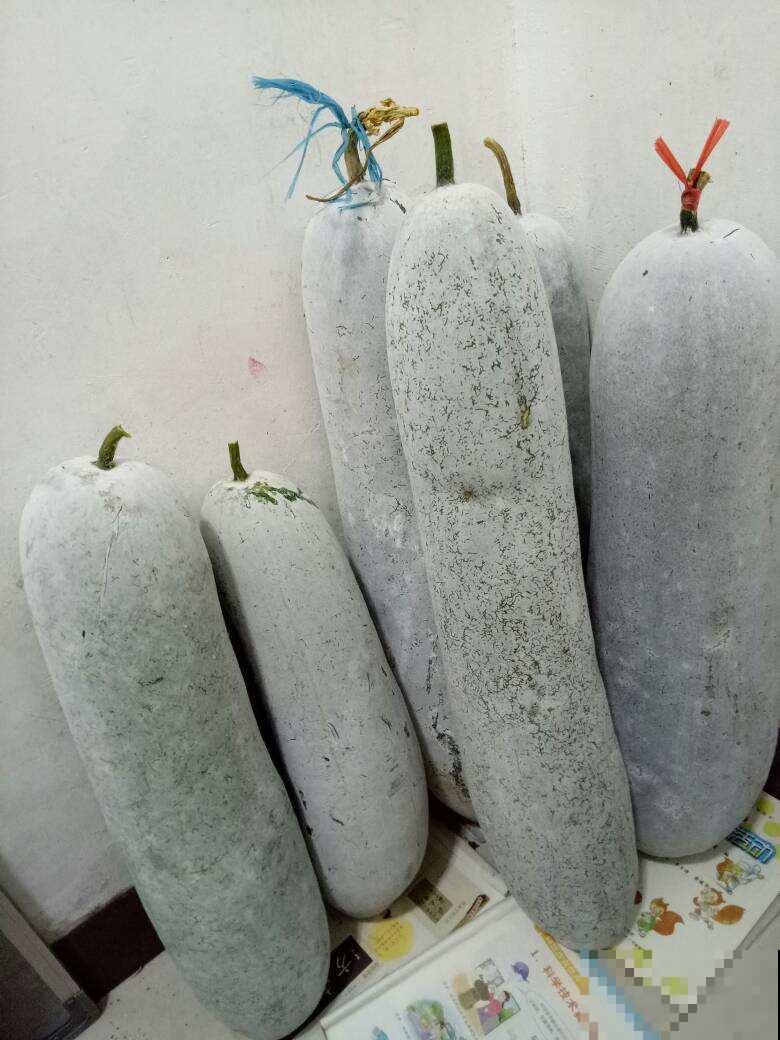 5种蔬菜适合冬天吃,含水量高,炒菜凉拌都好吃 5种蔬菜适合冬天吃,含水量高,炒菜凉拌都好吃