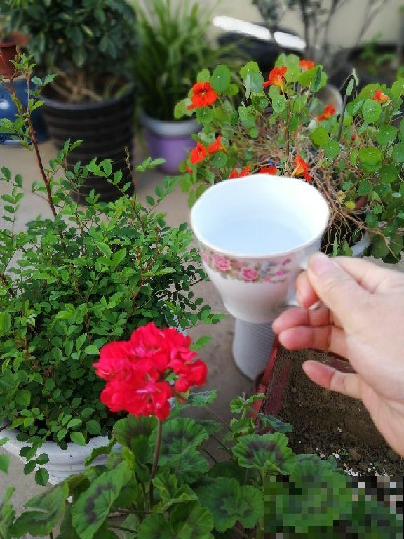 喝水要注意4点，才叫健康喝水，对身体更好