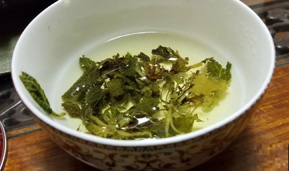 8种草是下火草药，农村最多，城市少见