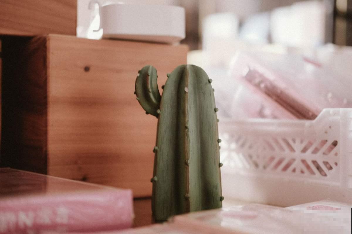 仙人掌被冻死了?提前做好防冻措施,才能平安度过冬季 仙人掌被冻死了?提前做好防冻措施,才能平安度过冬季